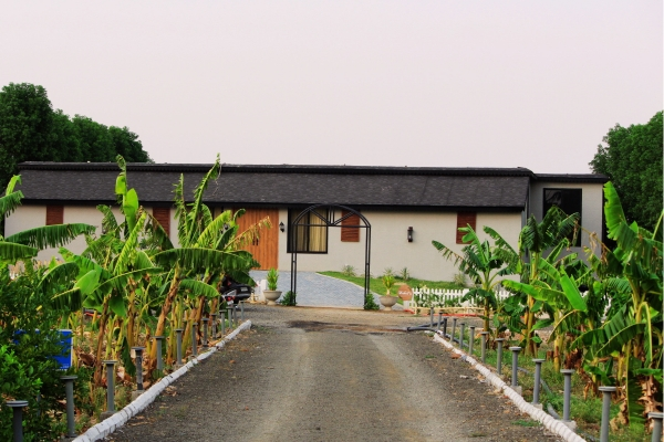 Estate 1